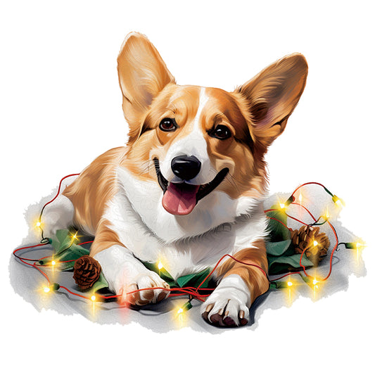 🔥Ostatni dzień 92% - słodki pies pembroke welsh corgi