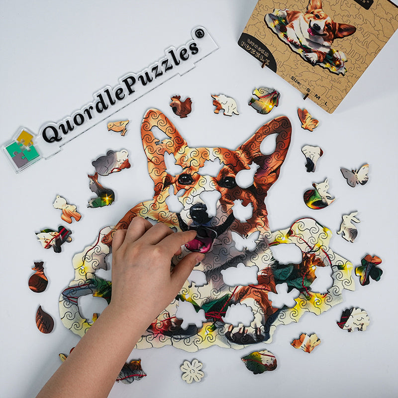 🔥Ostatni dzień 92% - słodki pies pembroke welsh corgi
