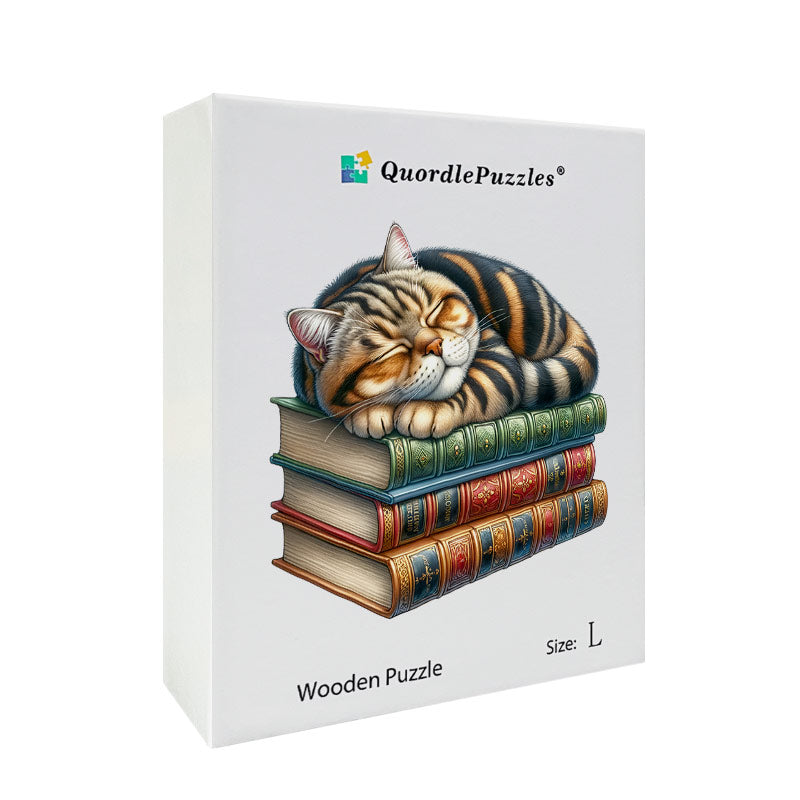 🔥Ostatni dzień 84% zniżki - clipart z kotem bibliotecznym